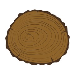 Tree slice vector isolated