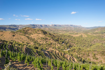Fototapeta na wymiar The Comarca Priorat is a famous wine-growing area where the prestigious wine of the Priorat and Montsant is produced. Wine has been cultivated here since the 12th century