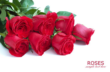 Fototapeta premium Red roses bunch isolated on white background