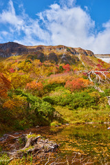 大雪高原温泉 沼めぐりコースの紅葉