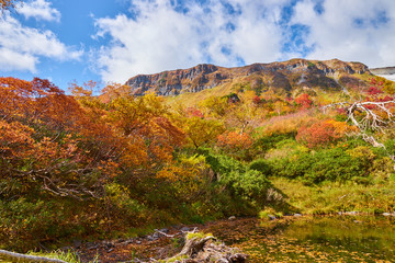 大雪高原温泉 沼めぐりコースの紅葉