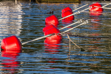 Festmacherbojen Hafen Reflektionen
