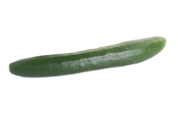 Cucumber on white background.