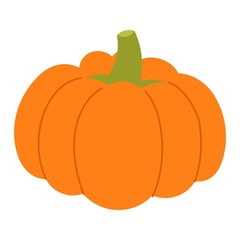 Pumpkin vector illustration isolated