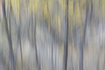 nature motion blur abstract