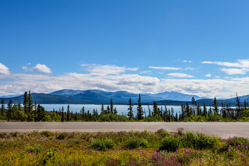 Dezadeash Lake- Kluane National Park- Haines Highway- Yukon Territory- CA  This beautiful and massive lake is framed in the foreground by wildflowers and in the background, by mountains.