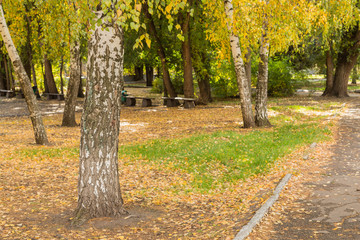 Golden autumn in city Park