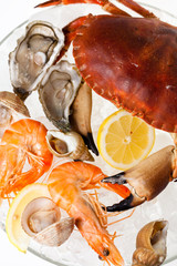 plateau de fruits de mer