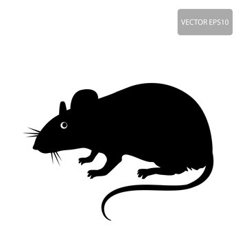 Mouse, Rat Vector. Rat Silhouette On The White Background. Rat Vector Disease. Harmful Rodent, Parasite.