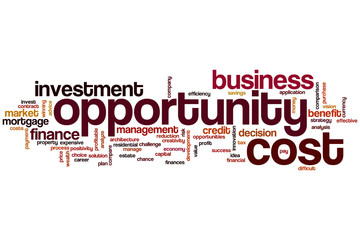 Opportunity cost word cloud