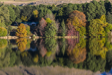 Autumn colours at the water