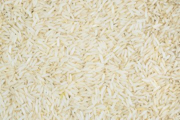 close up of a rice for background
