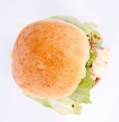 Hamburger with fried onion, tomatoes, iceberg lettuce, mayonnaise and ketchup