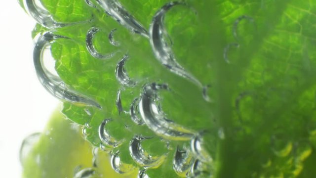 Sparkling bubbles water with a slice of lime. Slow motion macro footage.