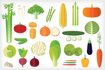 Vegetables icon set isolated on white background.