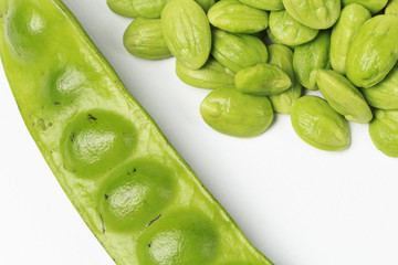 Parkia speciosa white background