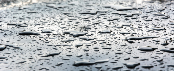 drops on the hood of a car