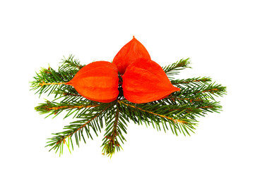 Christmas decoration on a white background