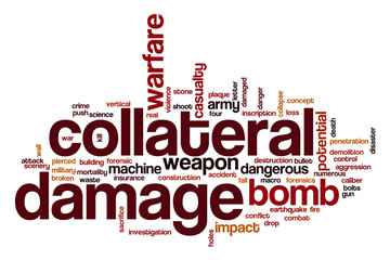 Collateral damage word cloud