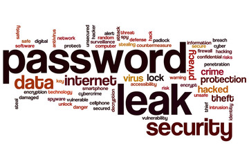 Password leak word cloud