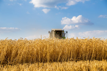 Combine harvester in action on wheat field