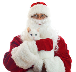 Santa Claus holding white cat. Space Isolated on white backgroun