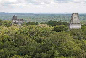 Fototapeta na wymiar Mayan pyramids above the jungle canopy