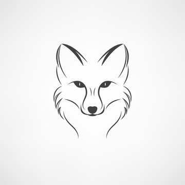 Vector image of a fox design on a white background