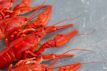 Fresh boiled crayfish with dill on a concrete background. 