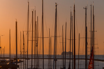 rows of boats mast