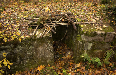 Abandoned fortress in forest