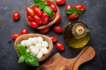 Obraz na płótnie Canvas Mozzarella cheese, tomatoes and basil