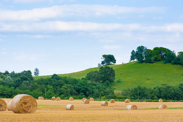 Italian countryside panorama. Round bales on wheat field
