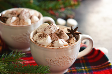 Hot chocolate with marshmallows, cinnamon and spices 