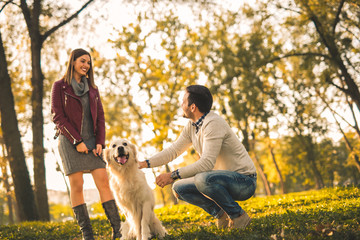 Fototapeta premium Walking the dog