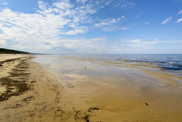 Baltic seashore