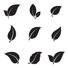 Fototapeta premium Leaves icons