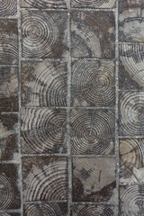 Tree stump wooden tiles, texture 