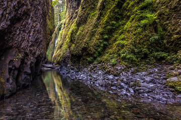 The Green Canyon of Oregon. The lush and green oneonta gorge, one of the natural wonders of Oregon
