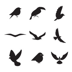 Birds icons