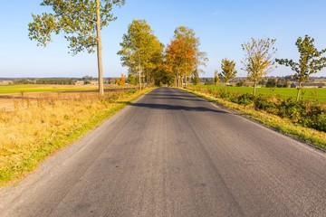 Fototapeta premium Asphalt road to village in Poland.