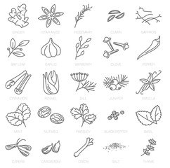 Spices vector icons