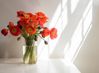 Red poppies in glass jar on white table against white wall with sunlight