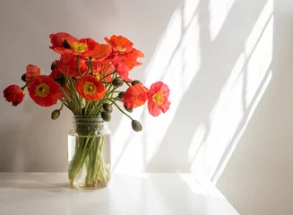 Photo sur Plexiglas Coquelicots Red poppies in glass jar on white table against white wall with sunlight