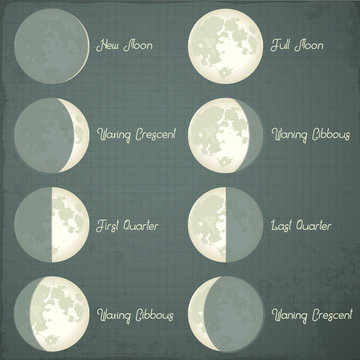 Phases Of The Moon. 