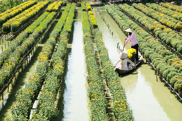 Two ladies with traditional dress are in a boat at the floating flower field in Sa Dec, Dong Thap, Vietnam. Sadec (Sa Dec) is one of the biggest flower stocks in Mekong Delta.
