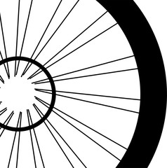 Bike wheel isolated on white background