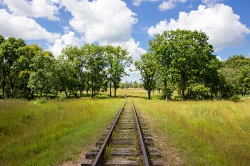 Fototapeta na wymiar Old railway in the summer forest.