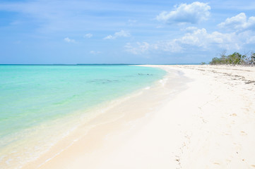 Fototapeta na wymiar Secluded white sand beach in Cayo Levisa Island in Cuba