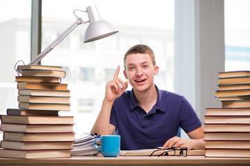 Young student preparing for school exams